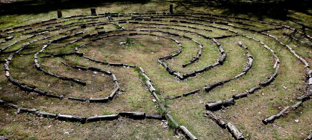 The programs featured image